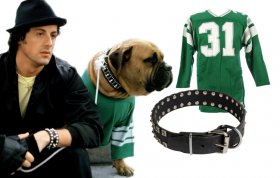 butkus-rocky-philadelphia-eagles-jersey-collar-dog